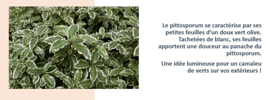 4 indispensables pour protéger ses plantes en pot du gel - Direct-Filet.com  le blog