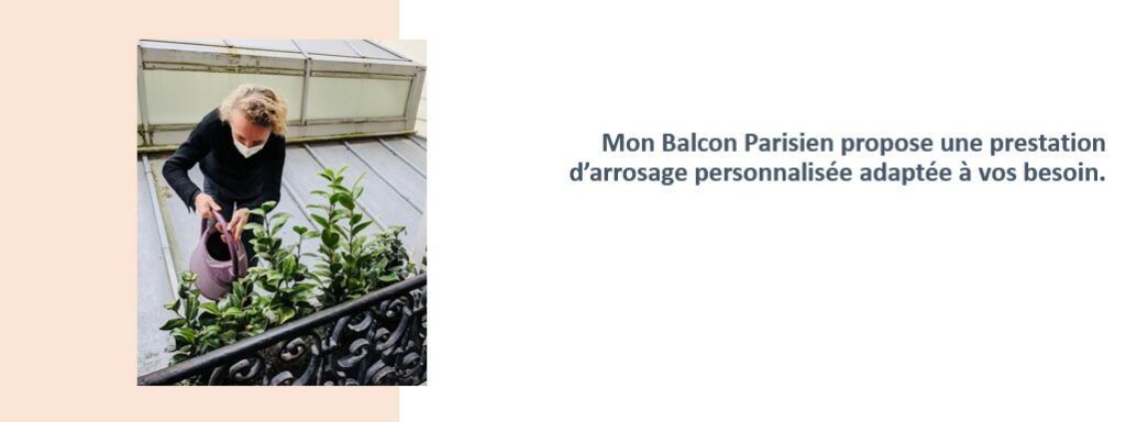 plantes pour balcon